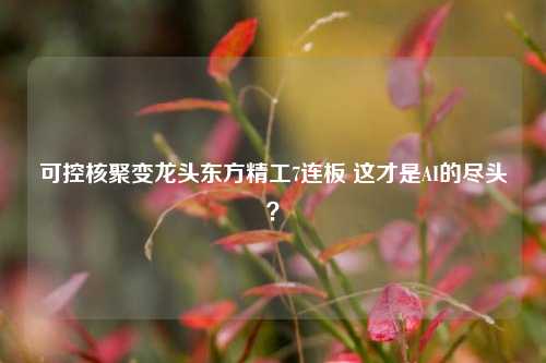 可控核聚变龙头东方精工7连板 这才是AI的尽头？