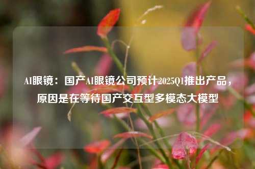 AI眼镜：国产AI眼镜公司预计2025Q1推出产品，原因是在等待国产交互型多模态大模型