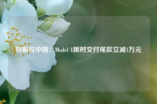 特斯拉中国：Model Y限时交付尾款立减1万元