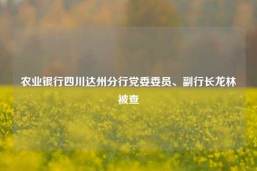 农业银行四川达州分行党委委员、副行长龙林被查