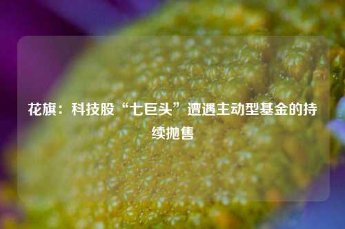 花旗：科技股“七巨头”遭遇主动型基金的持续抛售