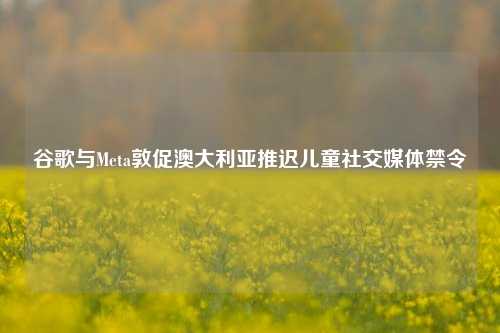 谷歌与Meta敦促澳大利亚推迟儿童社交媒体禁令