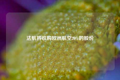 法航将收购欧洲航空20%的股份