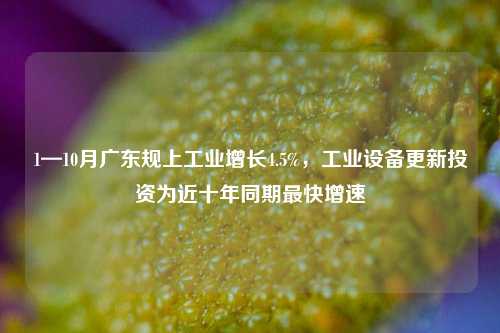 1—10月广东规上工业增长4.5%，工业设备更新投资为近十年同期最快增速