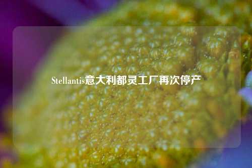 Stellantis意大利都灵工厂再次停产