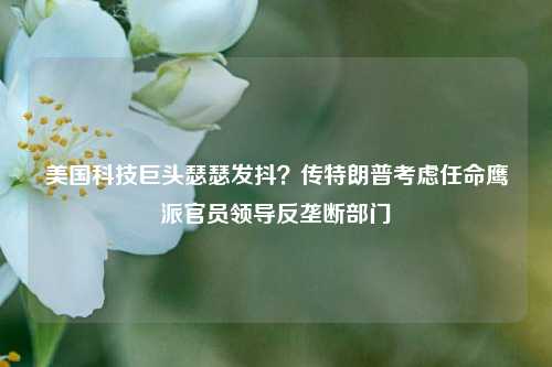 美国科技巨头瑟瑟发抖？传特朗普考虑任命鹰派官员领导反垄断部门