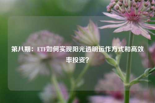 第八期：ETF如何实现阳光透明运作方式和高效率投资？